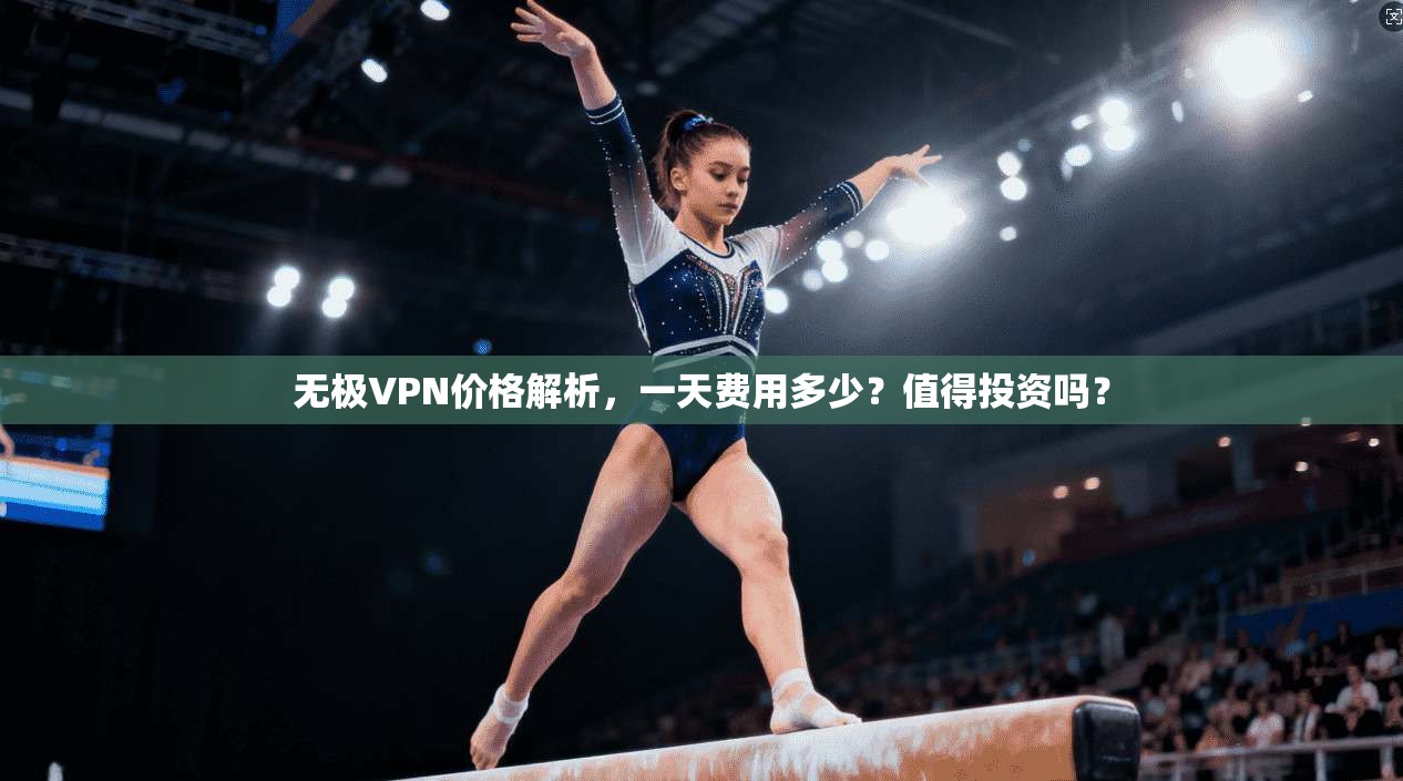 无极VPN价格解析,一天费用多少?值得投资吗?