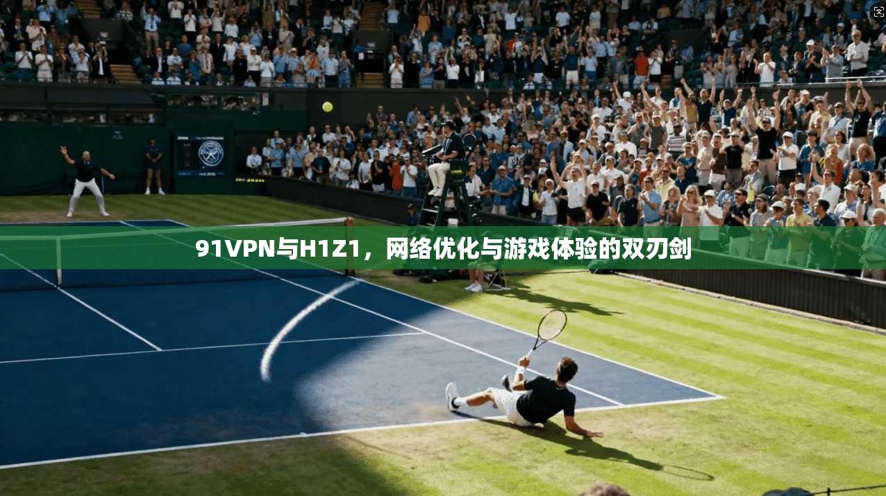 91VPN与H1Z1,网络优化与游戏体验的双刃剑
