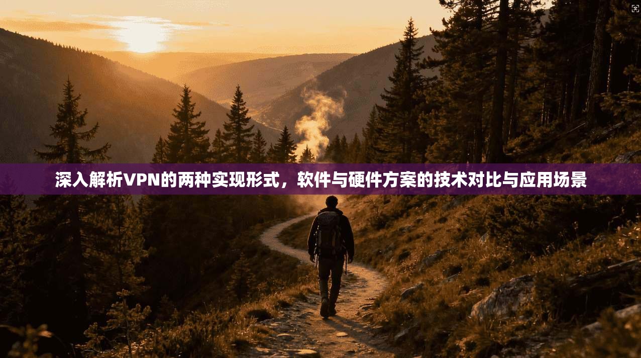 深入解析VPN的两种实现形式,软件与硬件方案的技术对比与应用场景