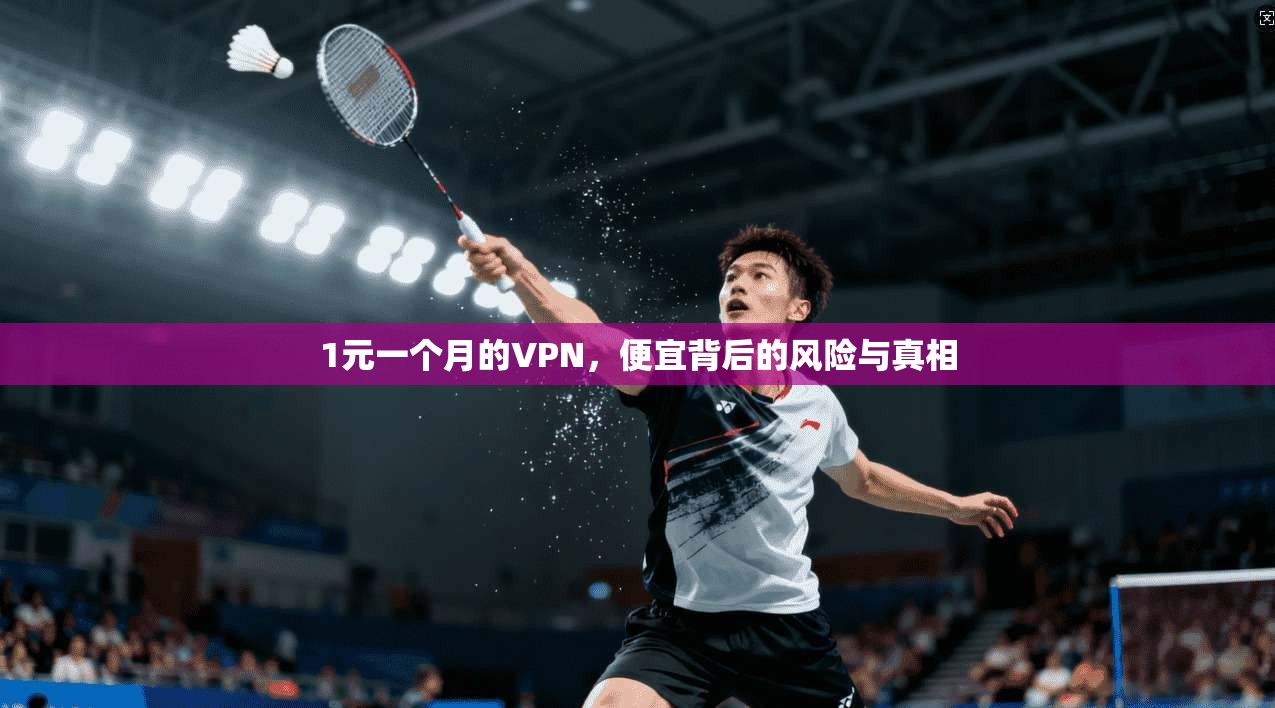1元一个月的VPN，便宜背后的风险与真相
