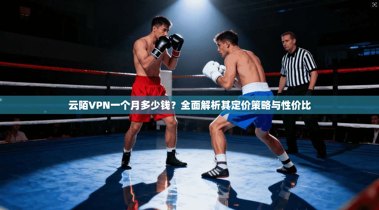 云陌VPN一个月多少钱？全面解析其定价策略与性价比
