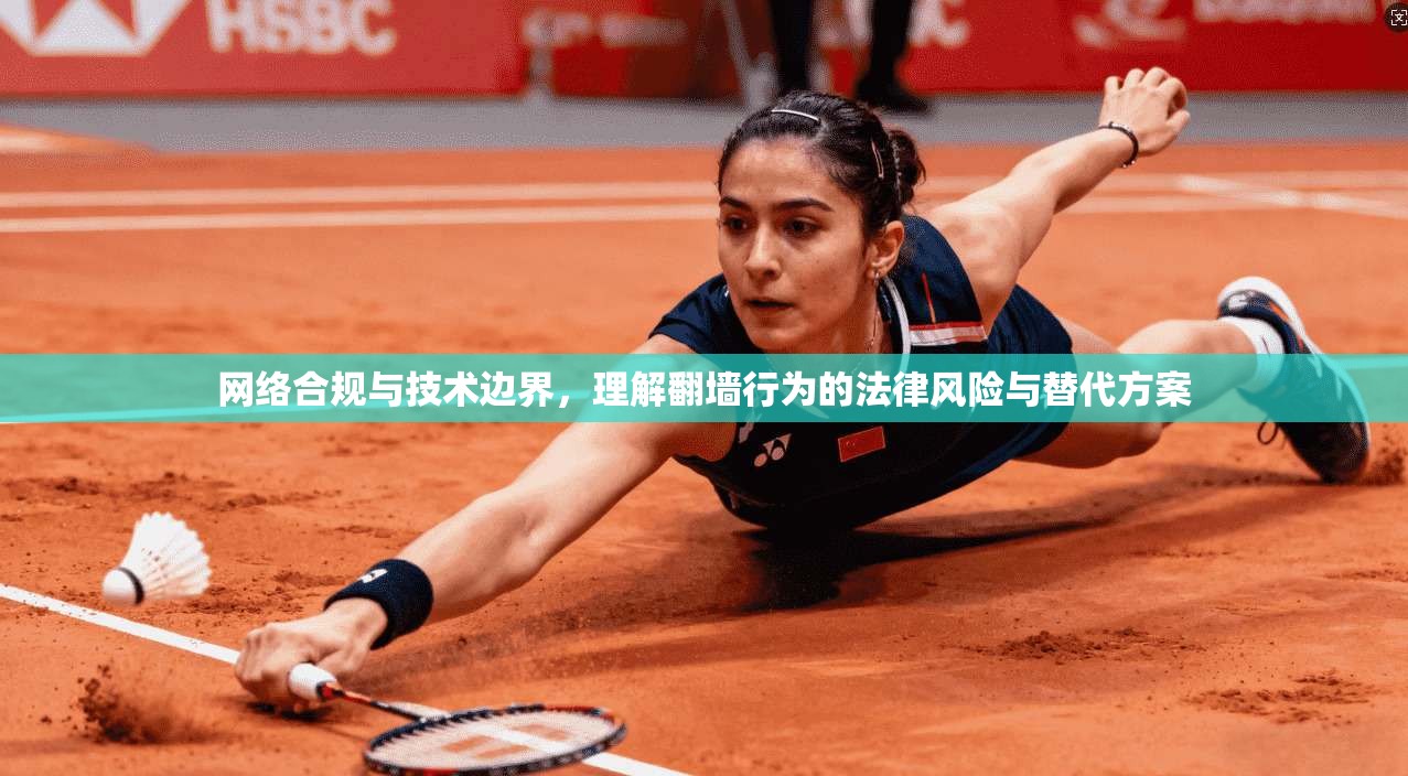 网络合规与技术边界，理解翻墙行为的法律风险与替代方案