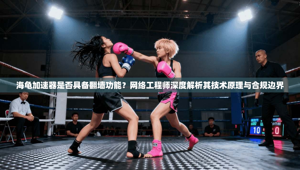 海龟加速器是否具备翻墙功能？网络工程师深度解析其技术原理与合规边界