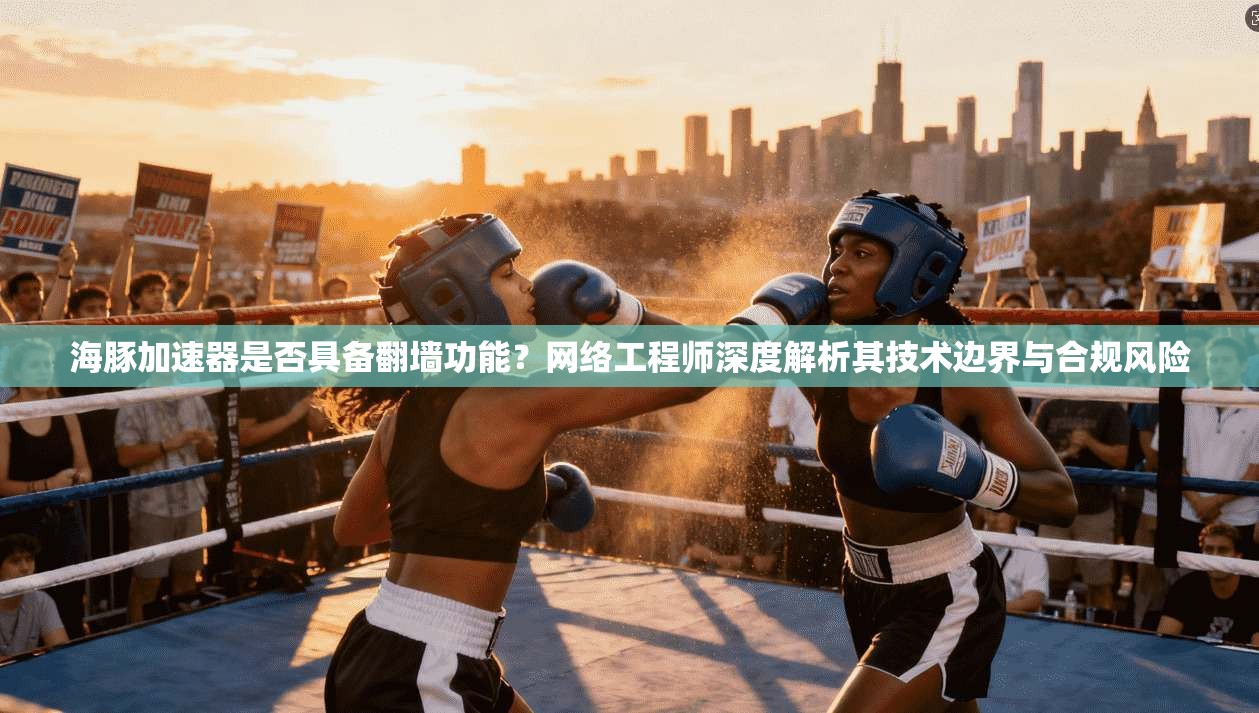 海豚加速器是否具备翻墙功能？网络工程师深度解析其技术边界与合规风险