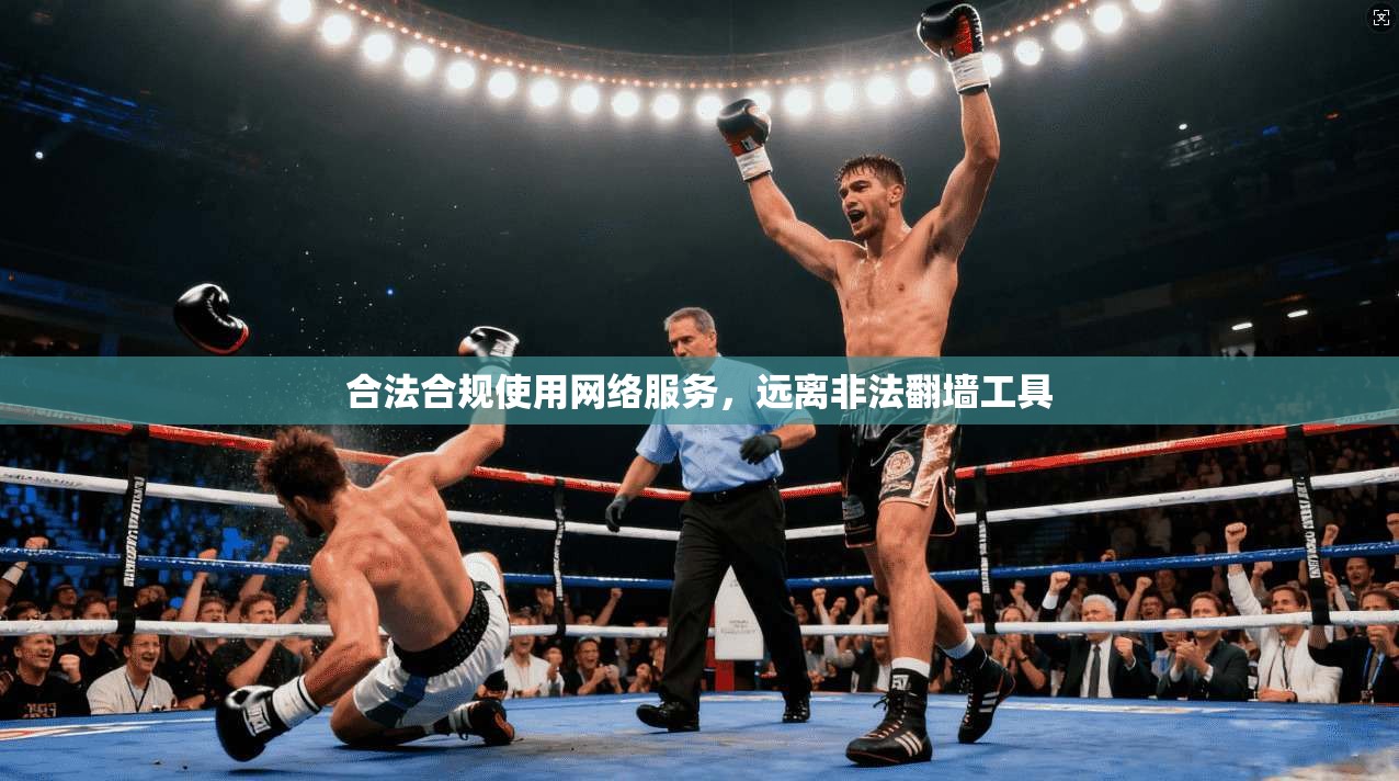 合法合规使用网络服务,远离非法翻墙工具