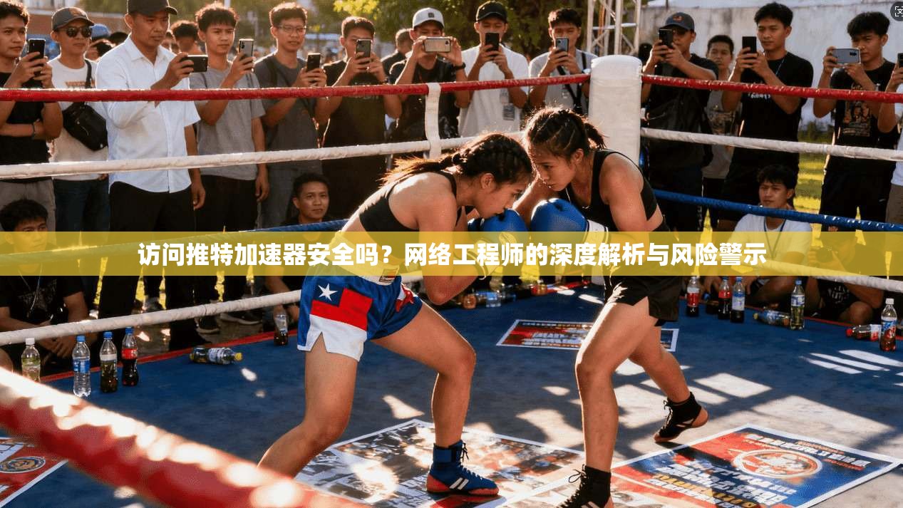 访问推特加速器安全吗?网络工程师的深度解析与风险警示