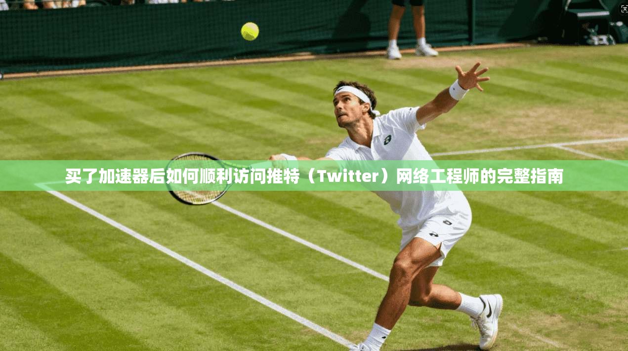 买了加速器后如何顺利访问推特（Twitter）网络工程师的完整指南