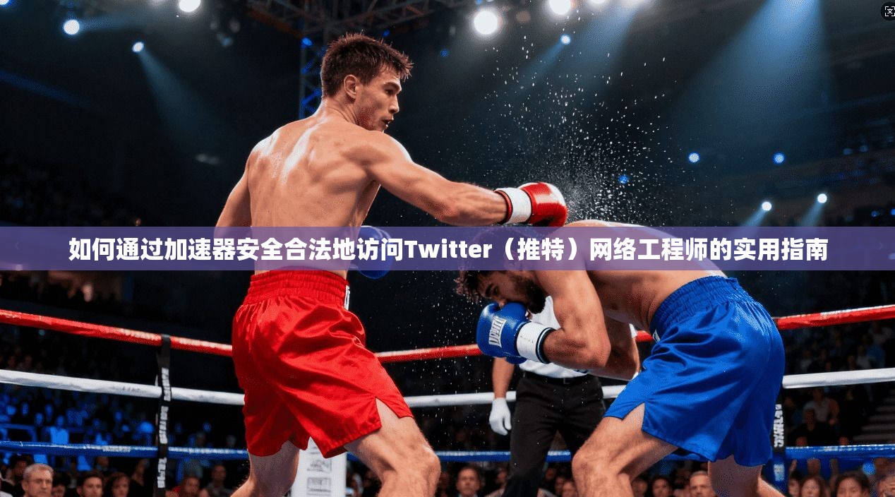 如何通过加速器安全合法地访问Twitter（推特）网络工程师的实用指南