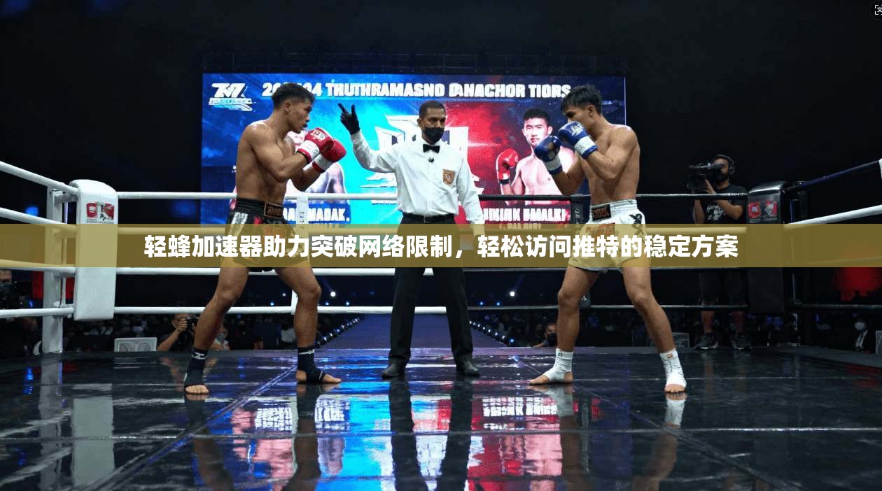 轻蜂加速器助力突破网络限制，轻松访问推特的稳定方案