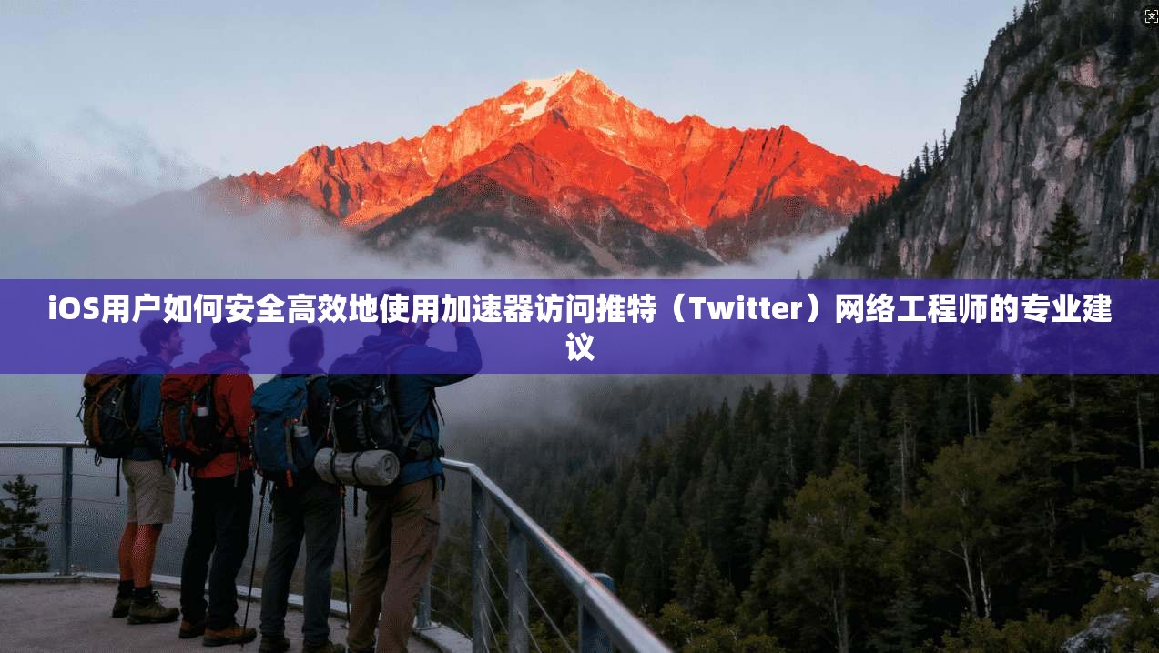 iOS用户如何安全高效地使用加速器访问推特(Twitter)网络工程师的专业建议