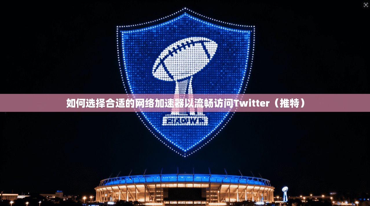 如何选择合适的网络加速器以流畅访问Twitter（推特）
