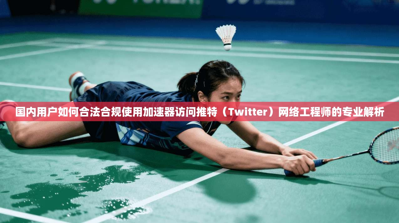 国内用户如何合法合规使用加速器访问推特（Twitter）网络工程师的专业解析