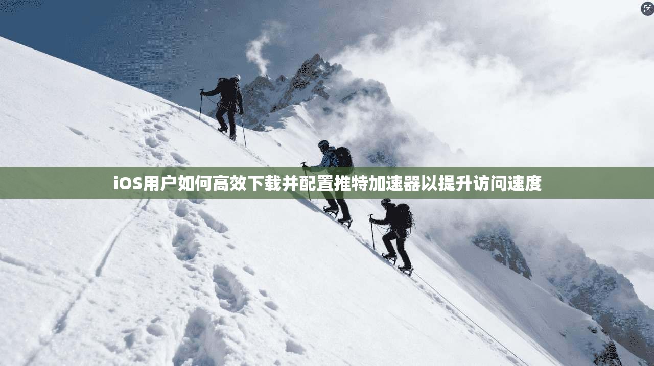 iOS用户如何高效下载并配置推特加速器以提升访问速度