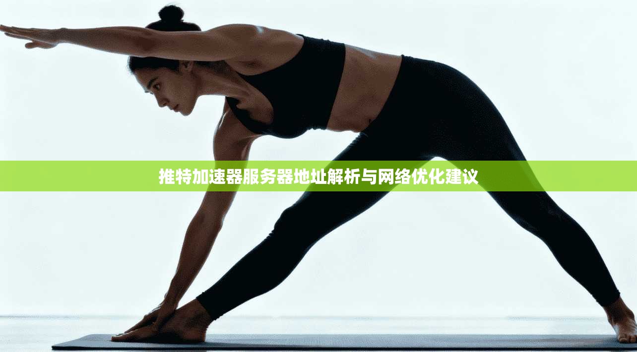 推特加速器服务器地址解析与网络优化建议