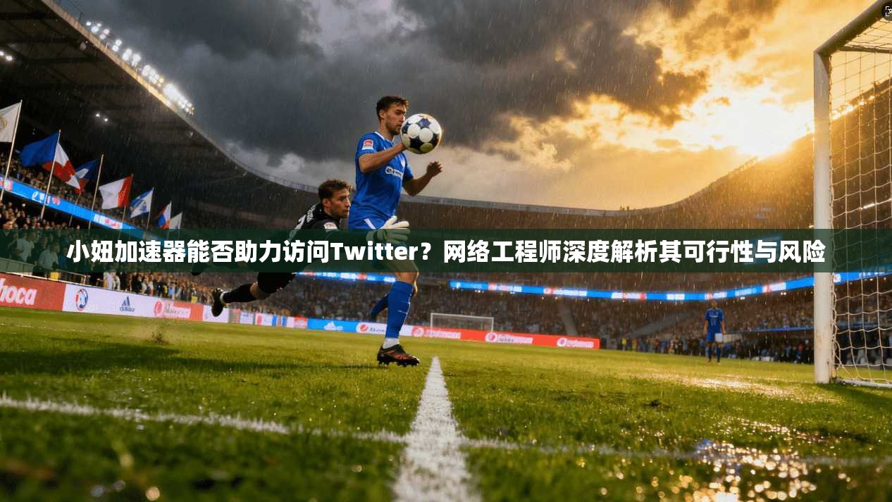 小妞加速器能否助力访问Twitter?网络工程师深度解析其可行性与风险