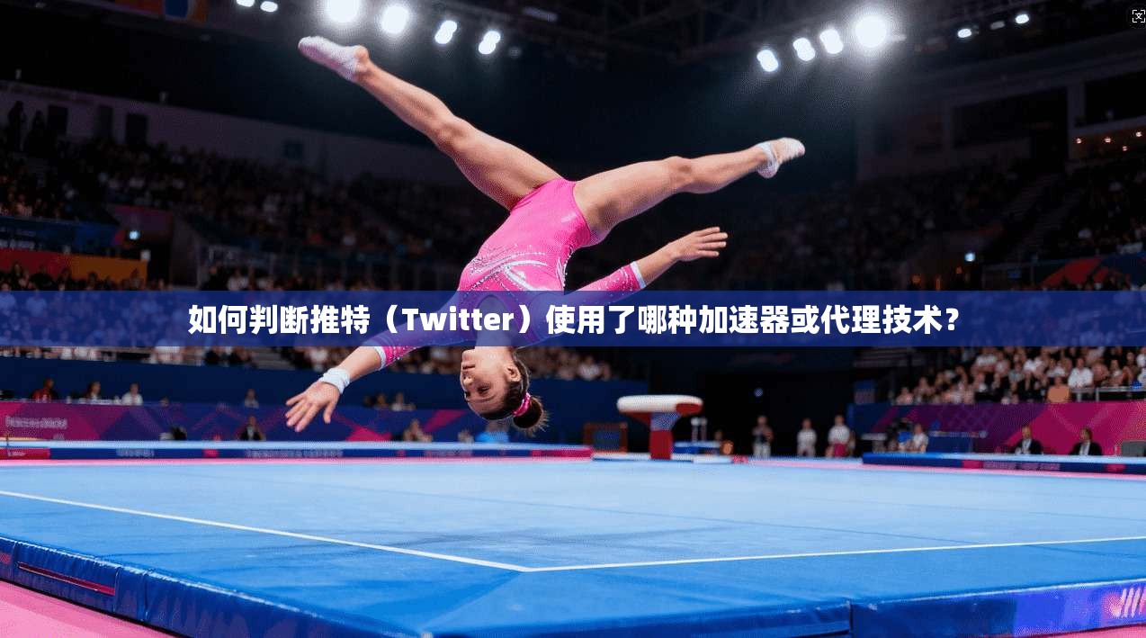 如何判断推特（Twitter）使用了哪种加速器或代理技术？