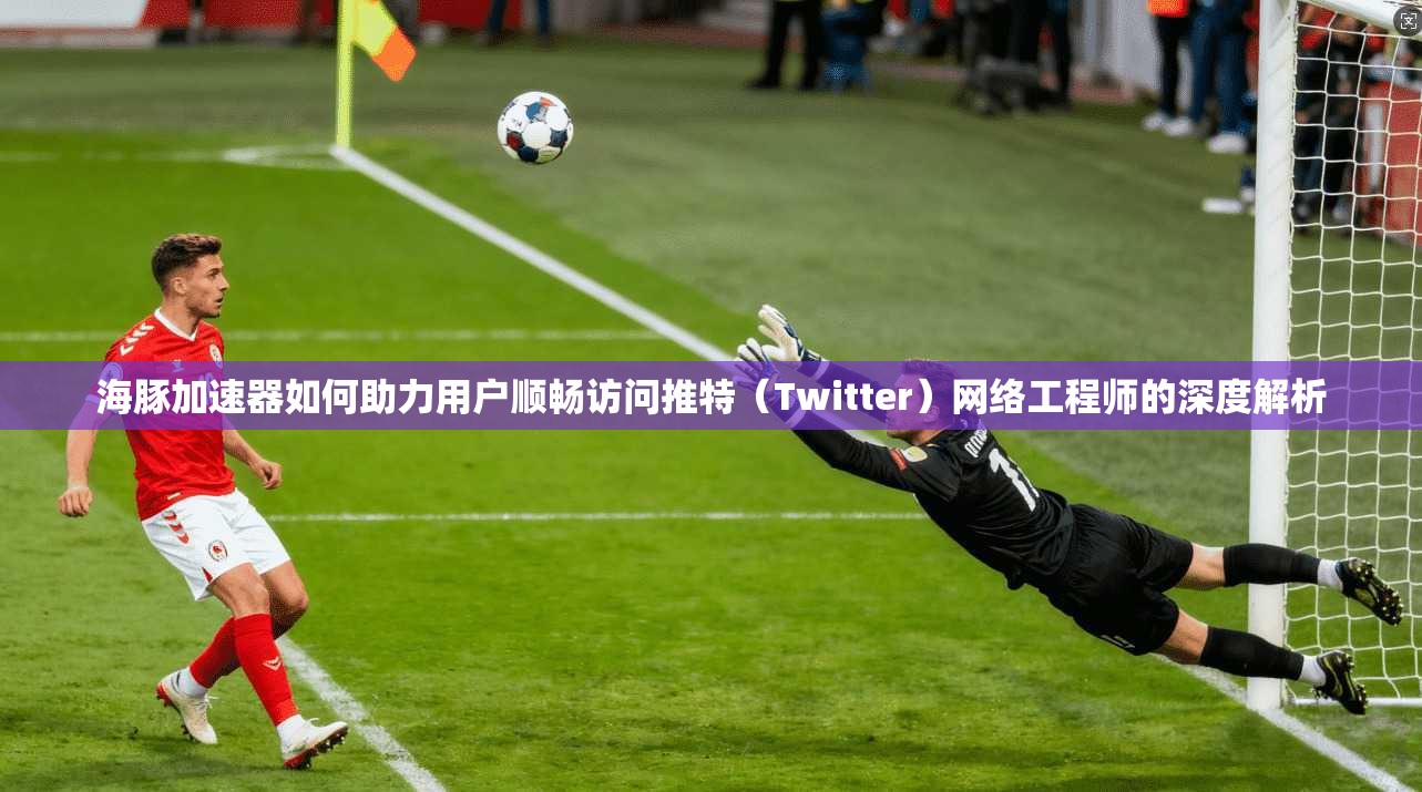 海豚加速器如何助力用户顺畅访问推特(Twitter)网络工程师的深度解析