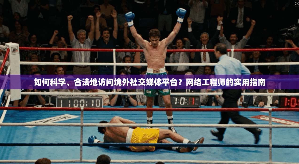 如何科学、合法地访问境外社交媒体平台?网络工程师的实用指南