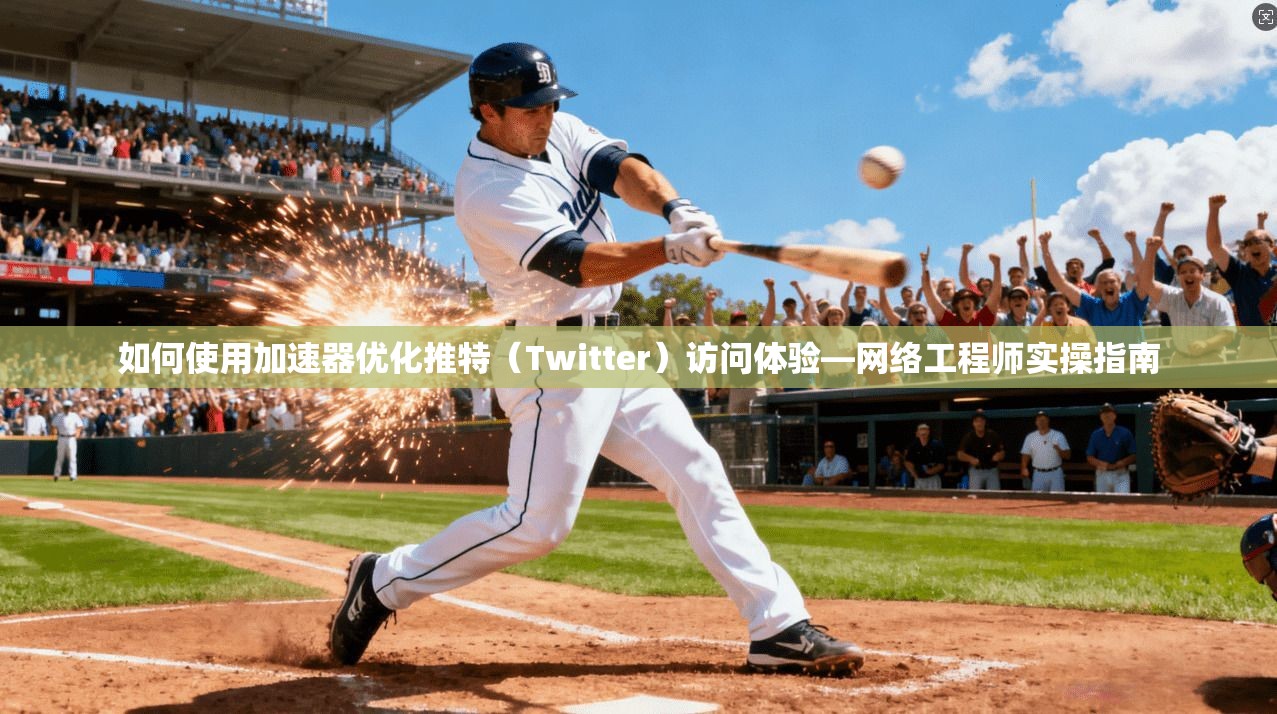 如何使用加速器优化推特（Twitter）访问体验—网络工程师实操指南
