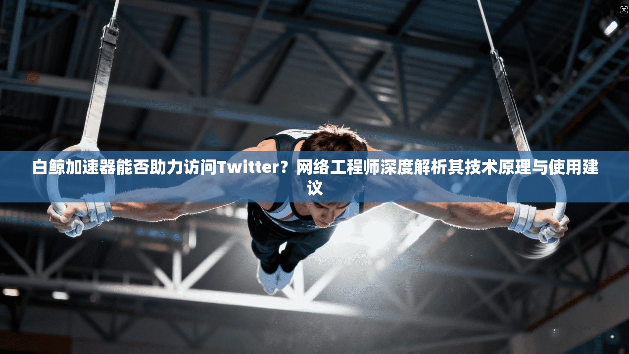 白鲸加速器能否助力访问Twitter？网络工程师深度解析其技术原理与使用建议