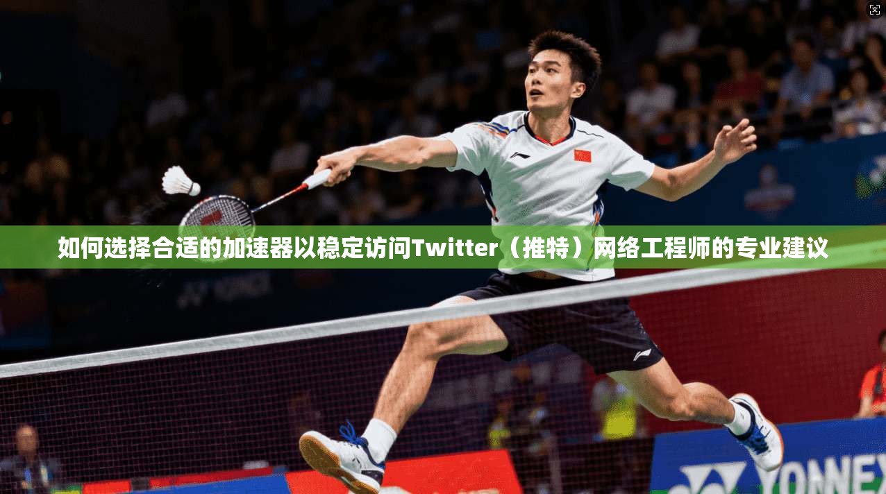 如何选择合适的加速器以稳定访问Twitter（推特）网络工程师的专业建议