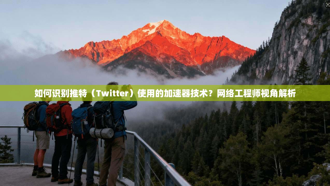 如何识别推特（Twitter）使用的加速器技术？网络工程师视角解析