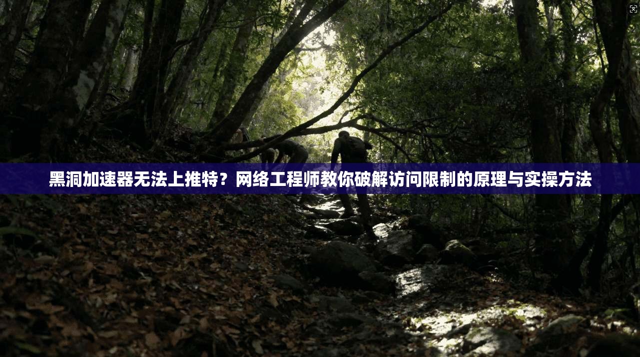 黑洞加速器无法上推特？网络工程师教你破解访问限制的原理与实操方法