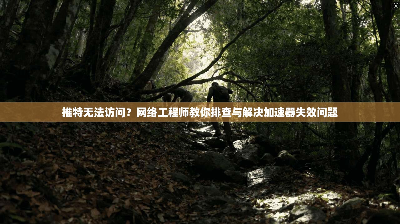 推特无法访问？网络工程师教你排查与解决加速器失效问题