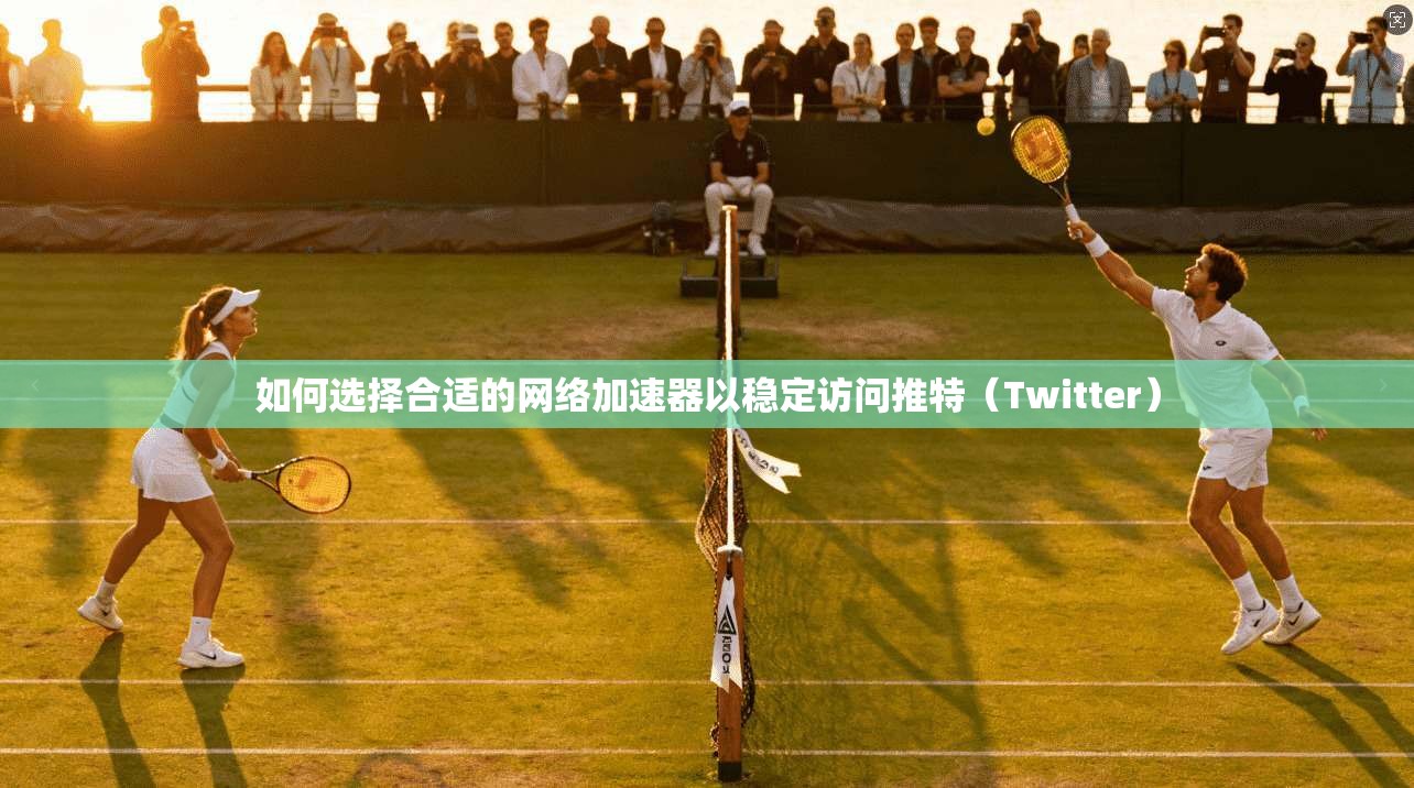如何选择合适的网络加速器以稳定访问推特(Twitter)