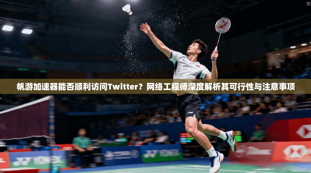 帆游加速器能否顺利访问Twitter？网络工程师深度解析其可行性与注意事项