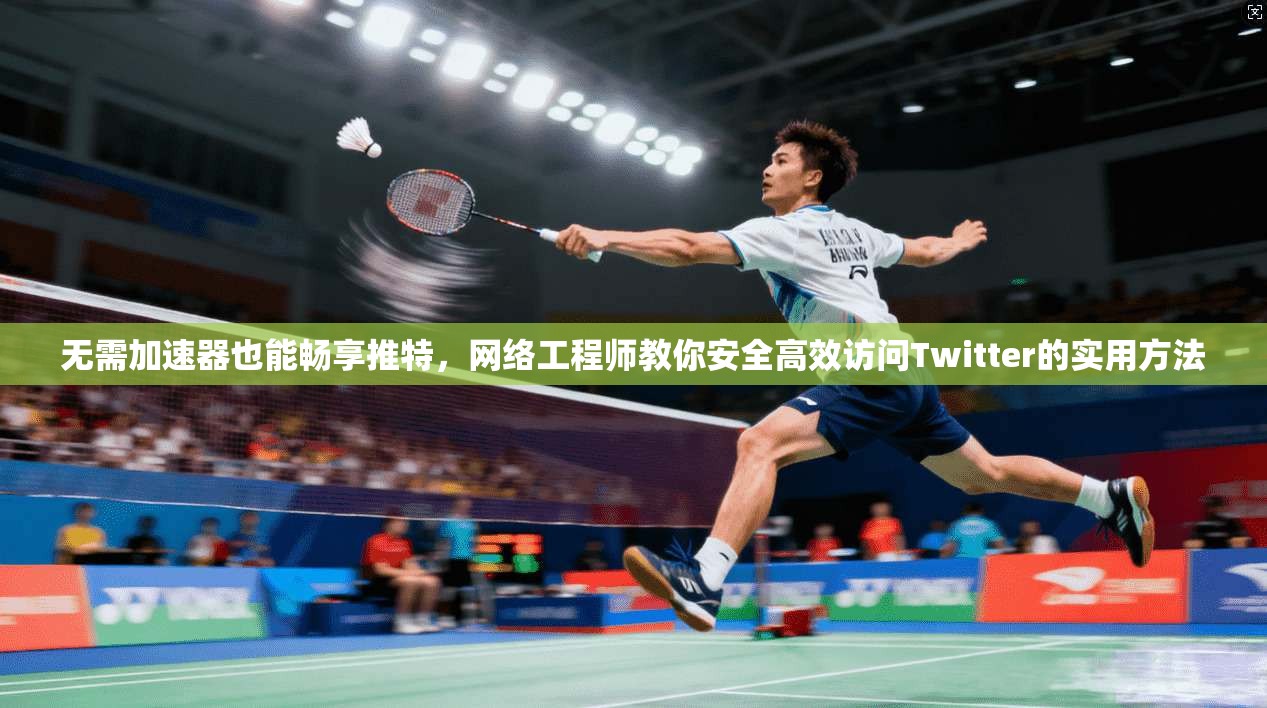 无需加速器也能畅享推特，网络工程师教你安全高效访问Twitter的实用方法