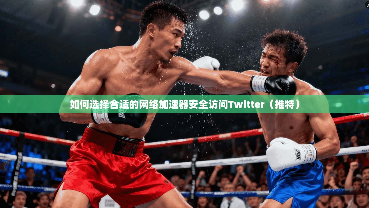 如何选择合适的网络加速器安全访问Twitter（推特）