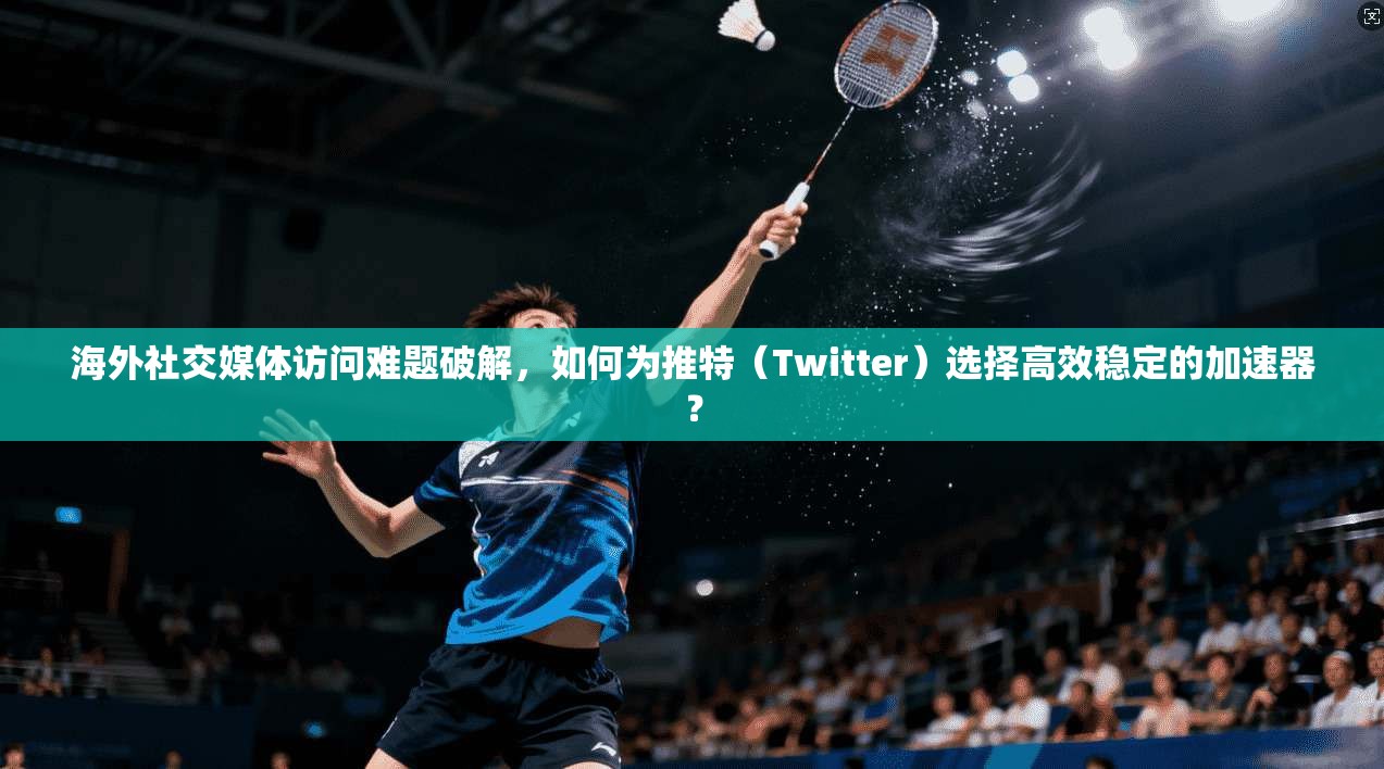 海外社交媒体访问难题破解，如何为推特（Twitter）选择高效稳定的加速器？