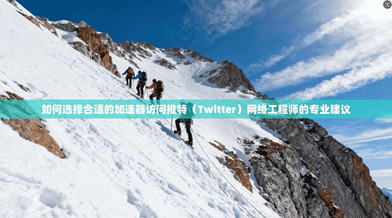 如何选择合适的加速器访问推特（Twitter）网络工程师的专业建议