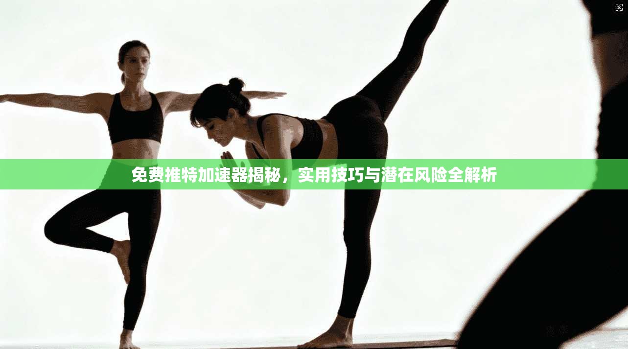 免费推特加速器揭秘，实用技巧与潜在风险全解析