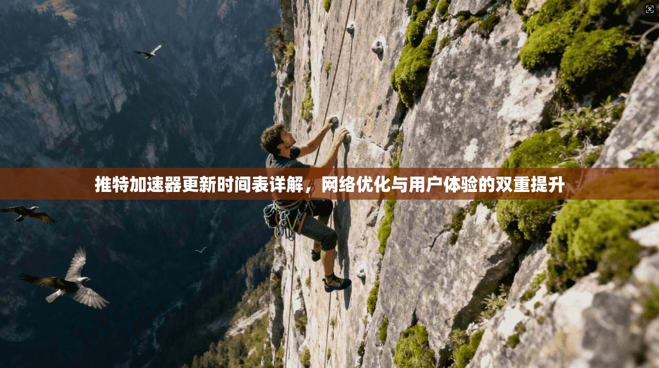 推特加速器更新时间表详解，网络优化与用户体验的双重提升