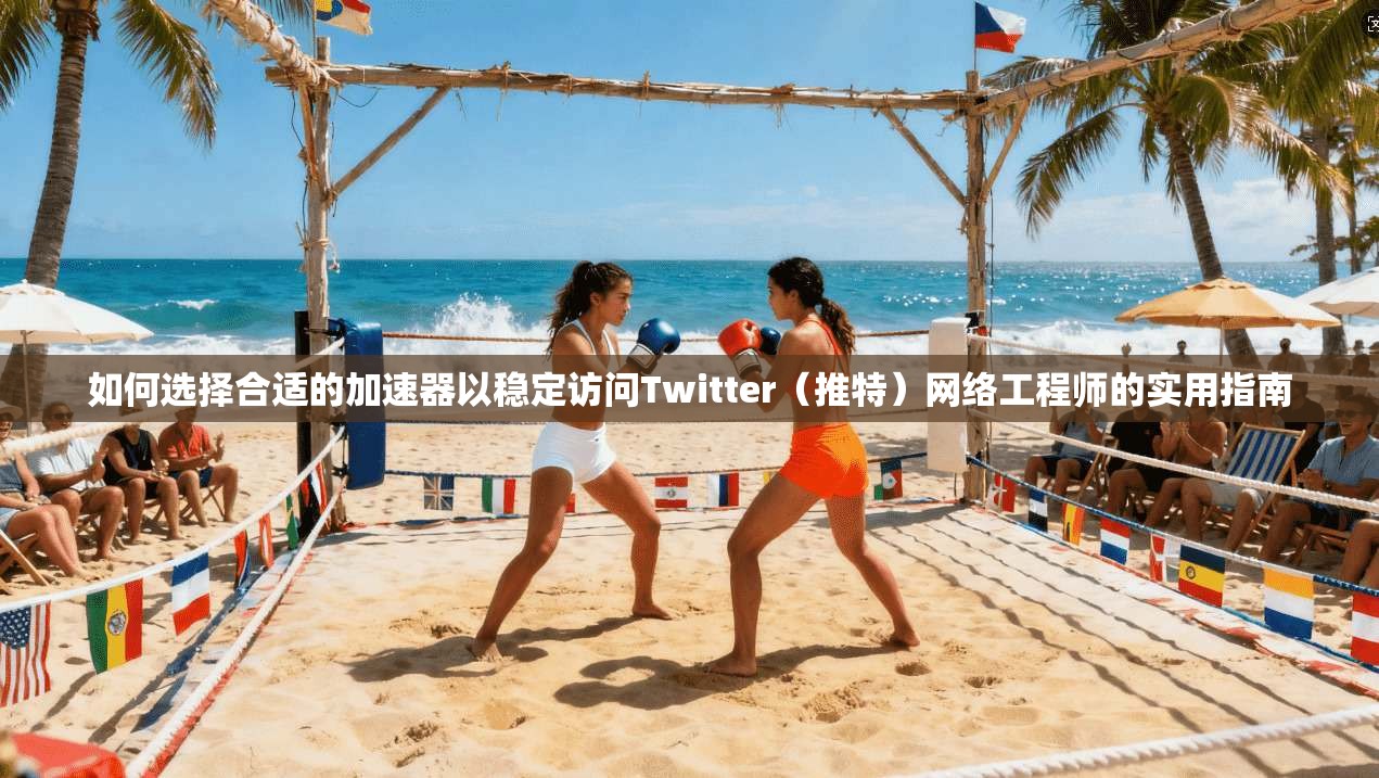 如何选择合适的加速器以稳定访问Twitter（推特）网络工程师的实用指南