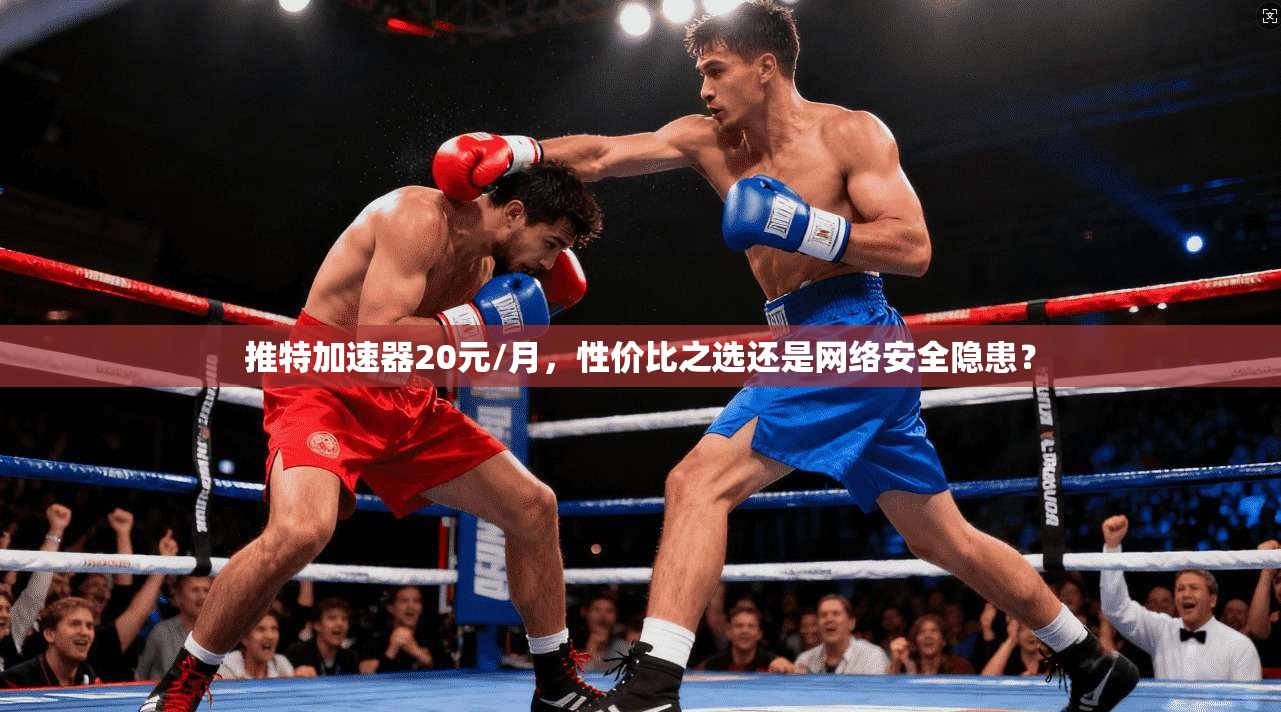 推特加速器20元/月，性价比之选还是网络安全隐患？