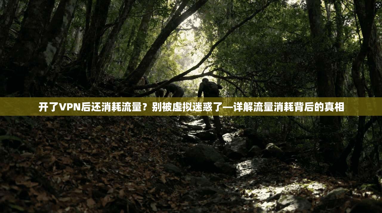 开了VPN后还消耗流量?别被虚拟迷惑了—详解流量消耗背后的真相