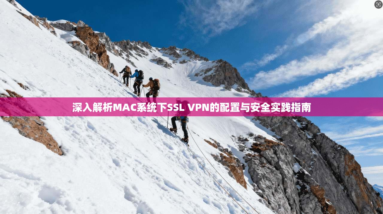深入解析MAC系统下SSL VPN的配置与安全实践指南