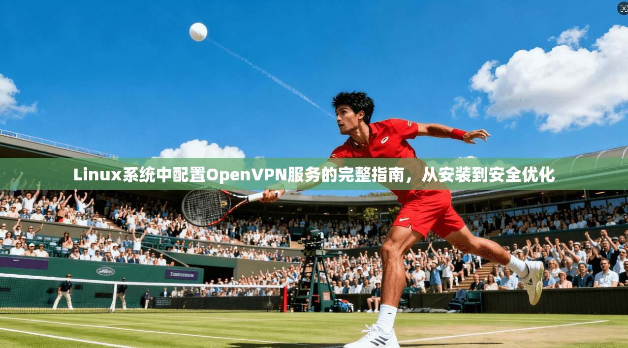 Linux系统中配置OpenVPN服务的完整指南，从安装到安全优化