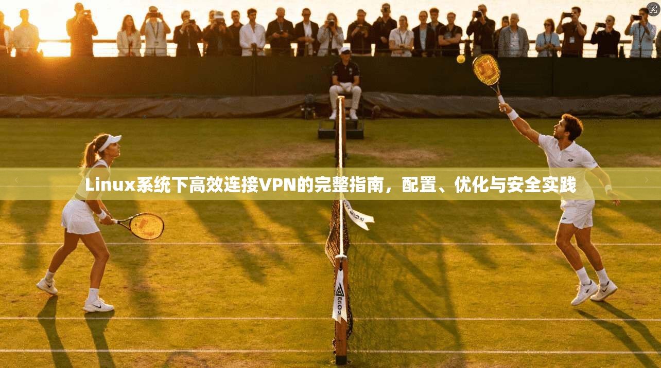Linux系统下高效连接VPN的完整指南，配置、优化与安全实践