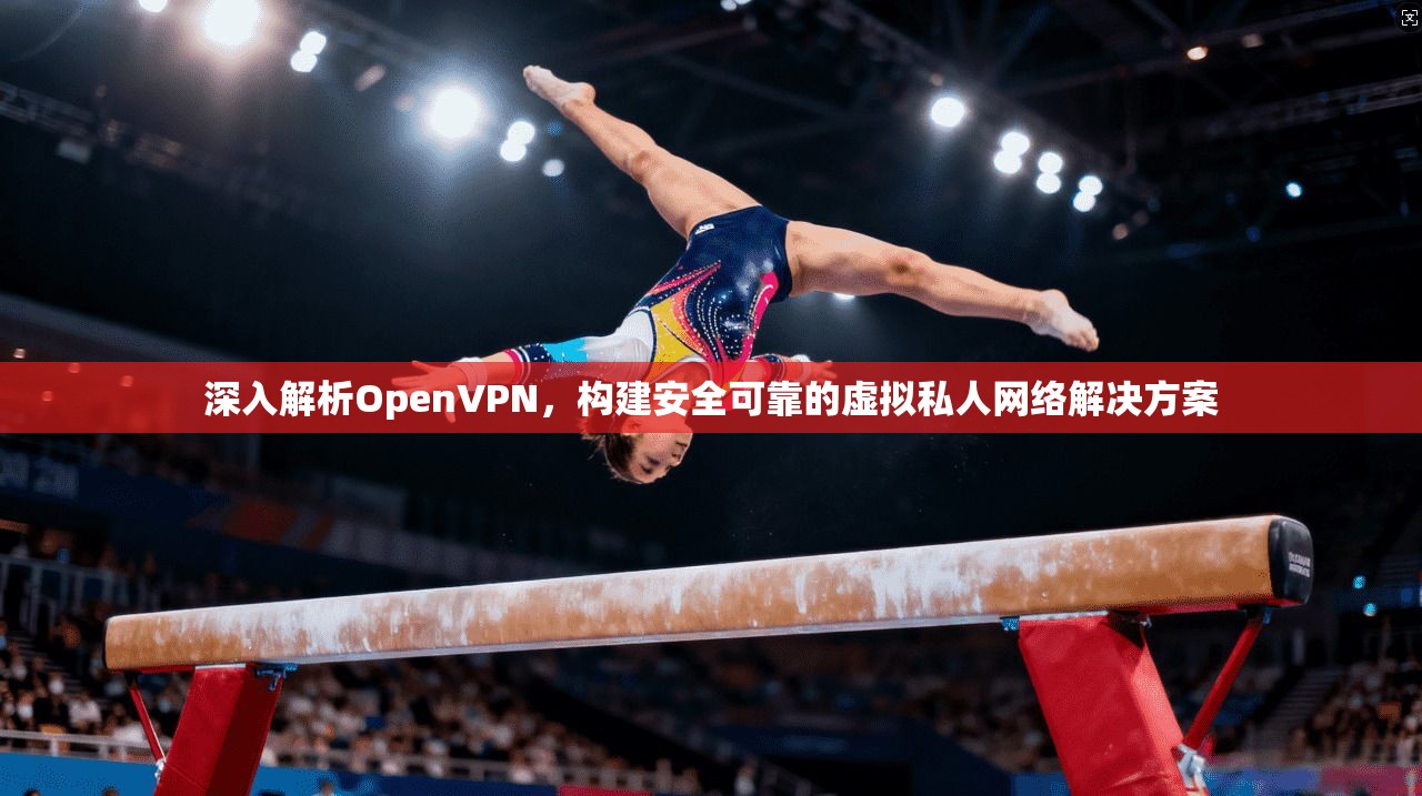 深入解析OpenVPN，构建安全可靠的虚拟私人网络解决方案