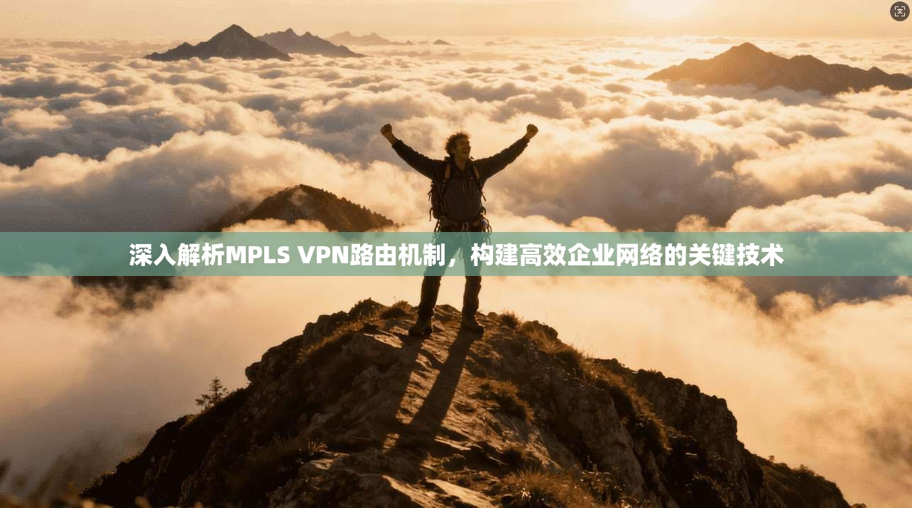 深入解析MPLS VPN路由机制，构建高效企业网络的关键技术