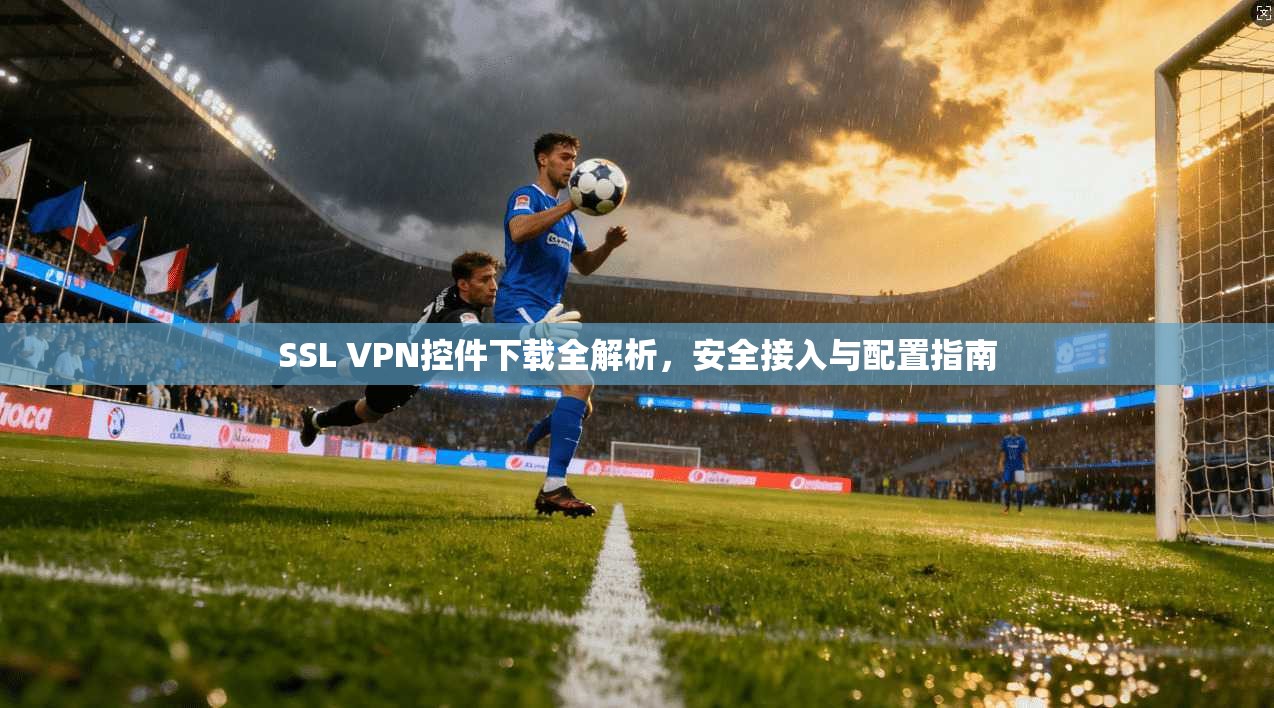 SSL VPN控件下载全解析，安全接入与配置指南