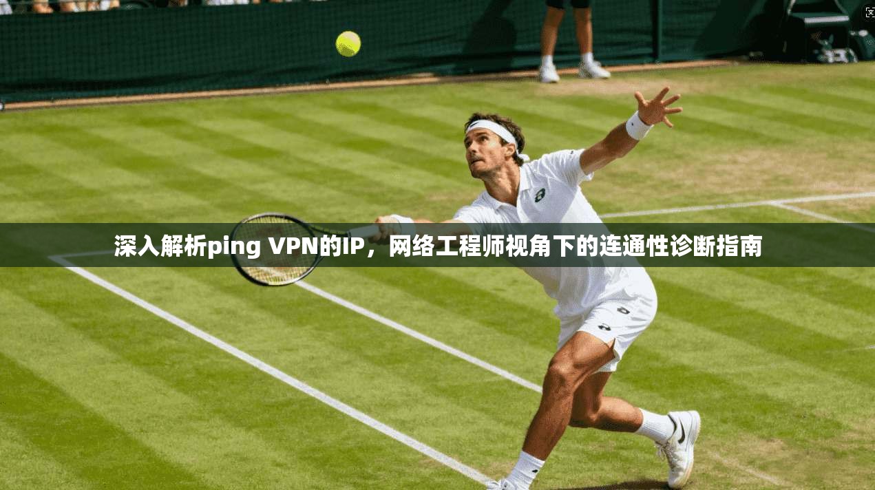 深入解析ping VPN的IP，网络工程师视角下的连通性诊断指南