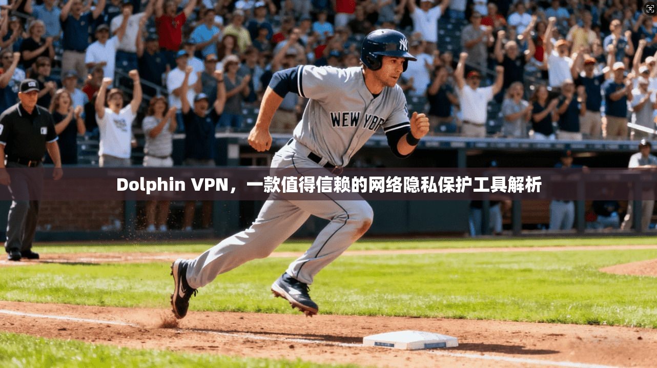 Dolphin VPN，一款值得信赖的网络隐私保护工具解析