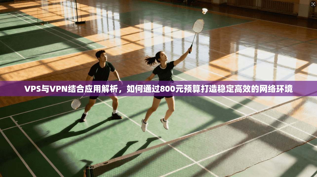 VPS与VPN结合应用解析，如何通过800元预算打造稳定高效的网络环境