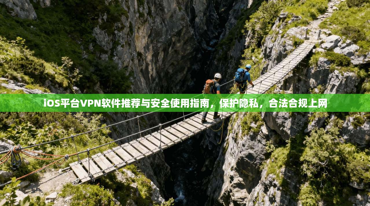 iOS平台VPN软件推荐与安全使用指南，保护隐私，合法合规上网