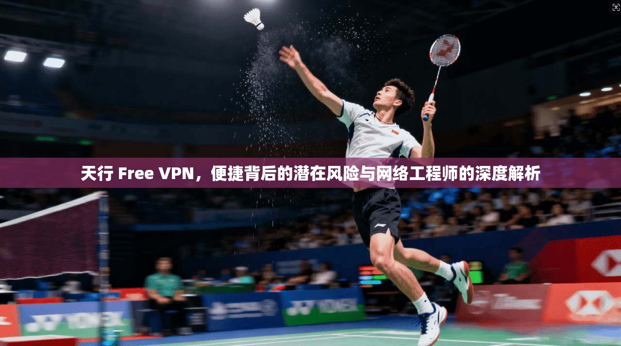 天行 Free VPN，便捷背后的潜在风险与网络工程师的深度解析